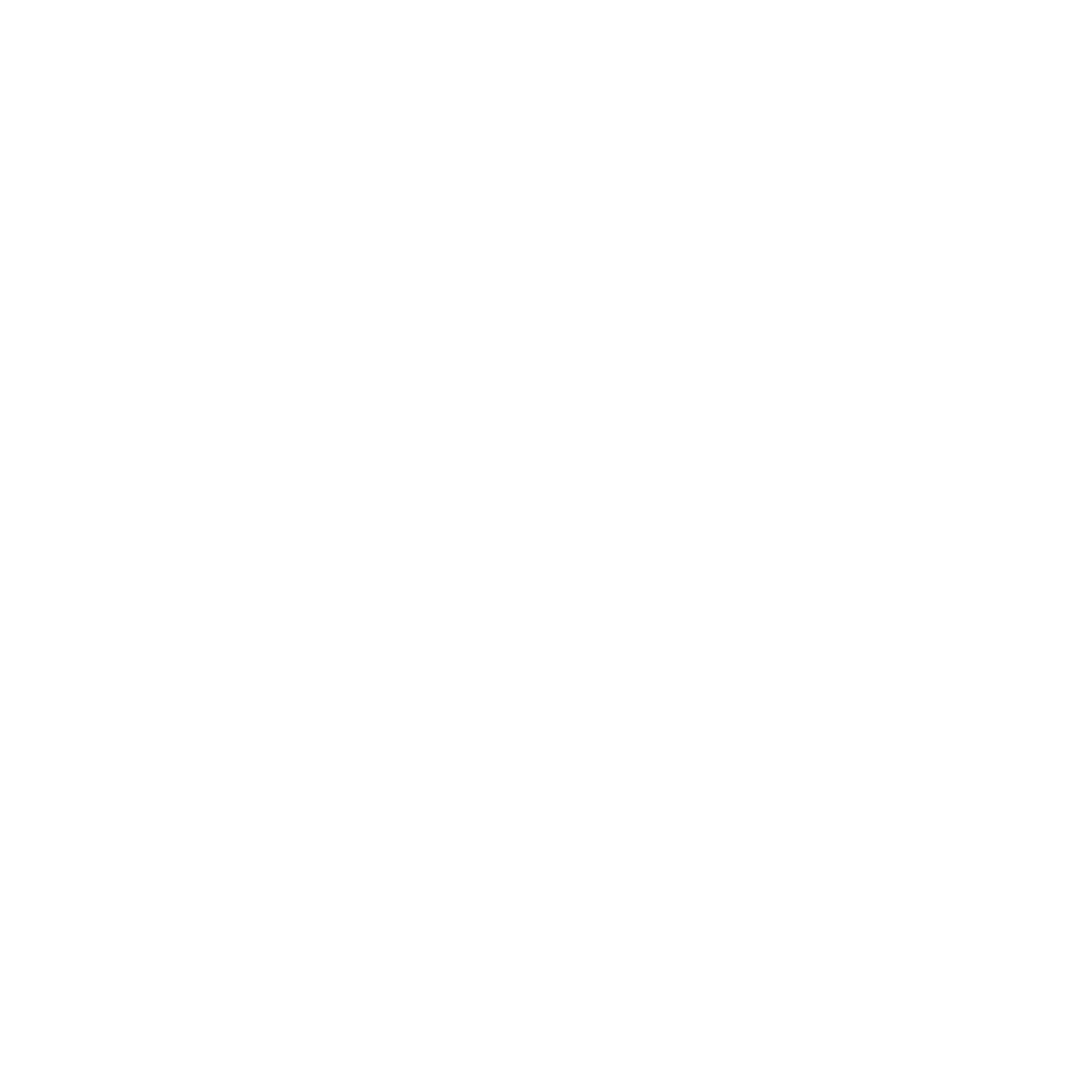 duabrain Logo